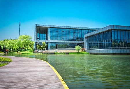 IIT Delhi Faculty uses art forms to offer integrated educational experience
